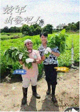 交换日记1998封面